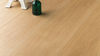 Grandeur Flooring (ERENAPA60RL16) accessories