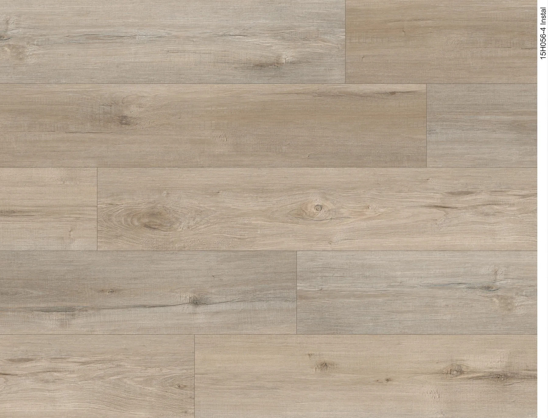 63aebf24-1973-11f0-8aa9-