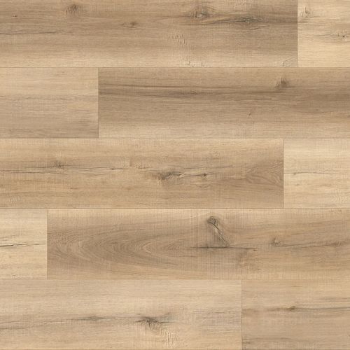 kami88です。 63aeed77-1973-11f0-8aa9-