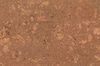 Torlys_Smart_Floors (ML81246) color