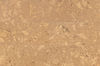 Torlys_Smart_Floors (ML81253) color