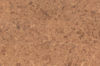 Torlys_Smart_Floors (ML81257) color