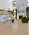 Biyork (BYKN6CLEOCS) room_scene