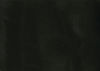 Torginol (TOP1050)