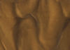 Torginol (TOP1150)