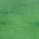 Epoxy Pigment Metallique Avocado P-1520 4 oz