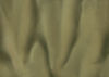 Torginol (TOP1540)