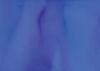 Torginol (TOP1710)