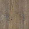Next Floor (TH537303) color