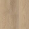 Next Floor (TN537123) color
