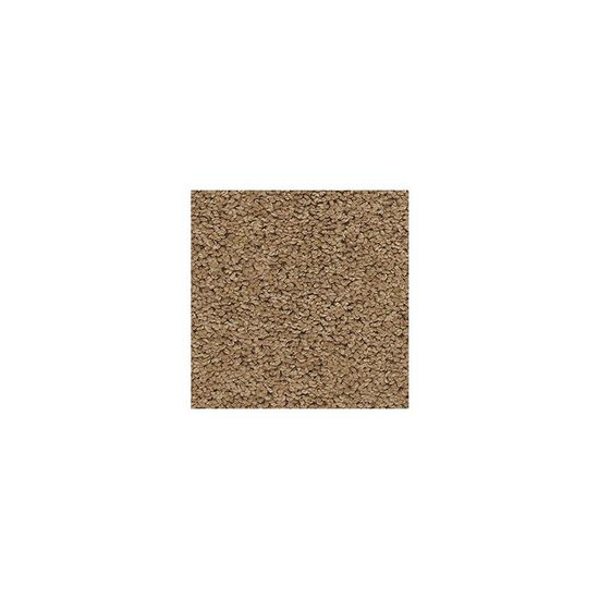Broadloom Carpet Sp395 #02 12' x 150'