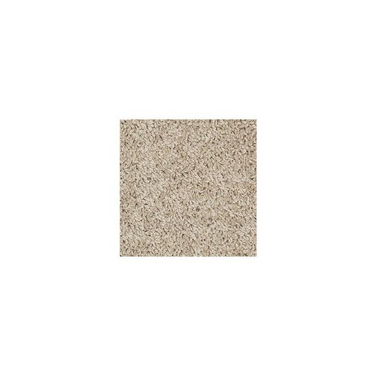 Broadloom Carpet Sp395 #06 12' x 150'