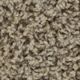 Broadloom Carpet Sp926 #01 12' x 135'