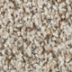 Broadloom Carpet Sp926 #08 12' x 135'