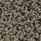 Broadloom Carpet Sp926 #10 12' x 135'