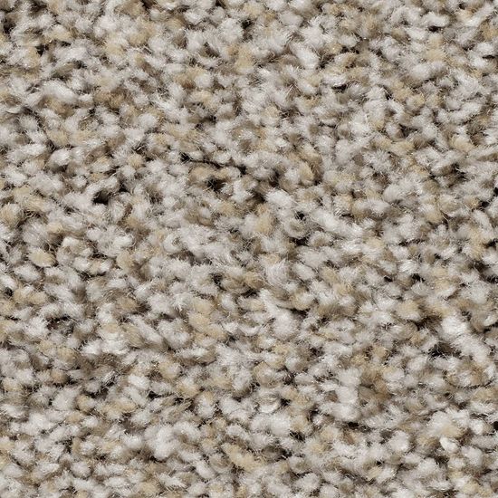 Broadloom Carpet Wd017 #01 12' x 170'