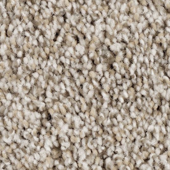 Broadloom Carpet Wd017 #02 12' x 170'