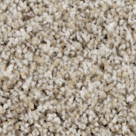 Broadloom Carpet Wd017 #03 12' x 170'