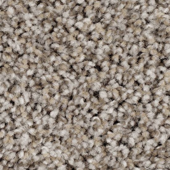 Broadloom Carpet Wd017 #04 12' x 170'