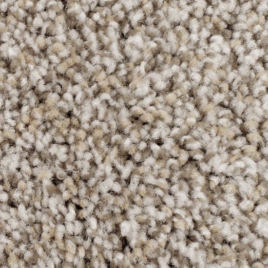 Broadloom Carpet Wd017 #05 12' x 170'