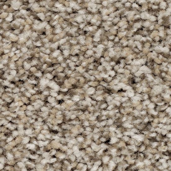 Broadloom Carpet Wd017 #06 12' x 170'
