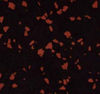 Pliteq (FIT08PE17) product