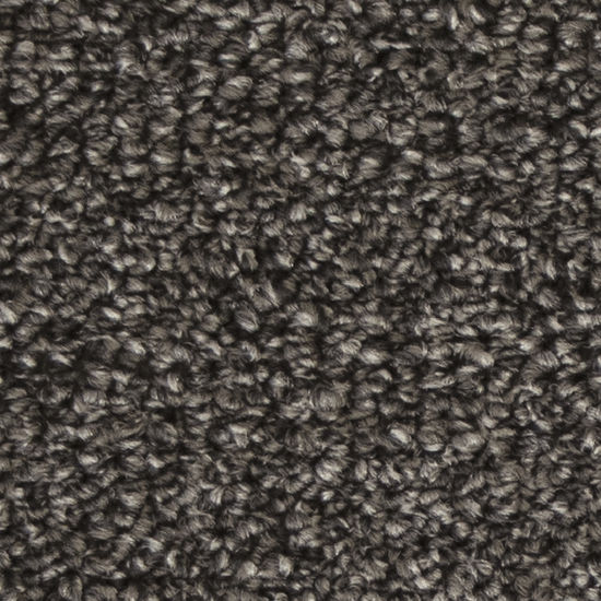 Broadloom Carpet Contrax II HD Grey Owl 12' (Sold in Sqyd)