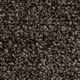 Broadloom Carpet Contrax II HD Ash Brown 12' (Sold in Sqyd)