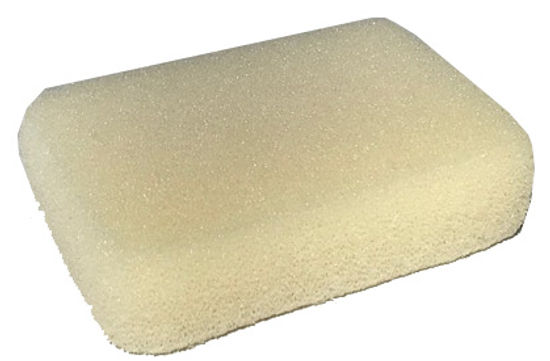 Armaly ProPlus ProPlus Polyurethane Grout Sponge in the Grout