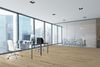 Next Floor (450503) room_scene