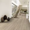 Next Floor (450543) room_scene