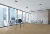 Next Floor (450545) room_scene