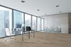 Next Floor (527715) room_scene