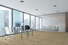 Next Floor (568007) room_scene