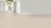 Gerflor (36358386) room_scene