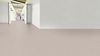 Gerflor (36354342) room_scene