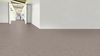 Gerflor (36352744) room_scene