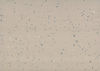 Gerflor (36354343) color