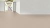 Gerflor (36354343) room_scene