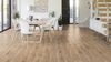 Gerflor (35811289) room_scene