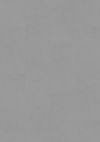 Gerflor (40301061) color