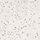 Vinyl Tile Creation 70 #1067 Terrazzo Nature Glue down 36" x 36"