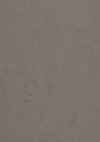 Gerflor (R9930553) color