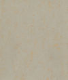 Gerflor (R9930555) color