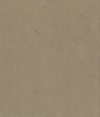 Gerflor (R9930558) color