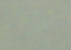 Gerflor (R9930567) color