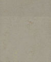 Gerflor (R9930557) color