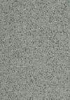 Gerflor (86804431) color