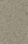 Gerflor (86804443) color