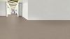 Gerflor (86804443) room_scene